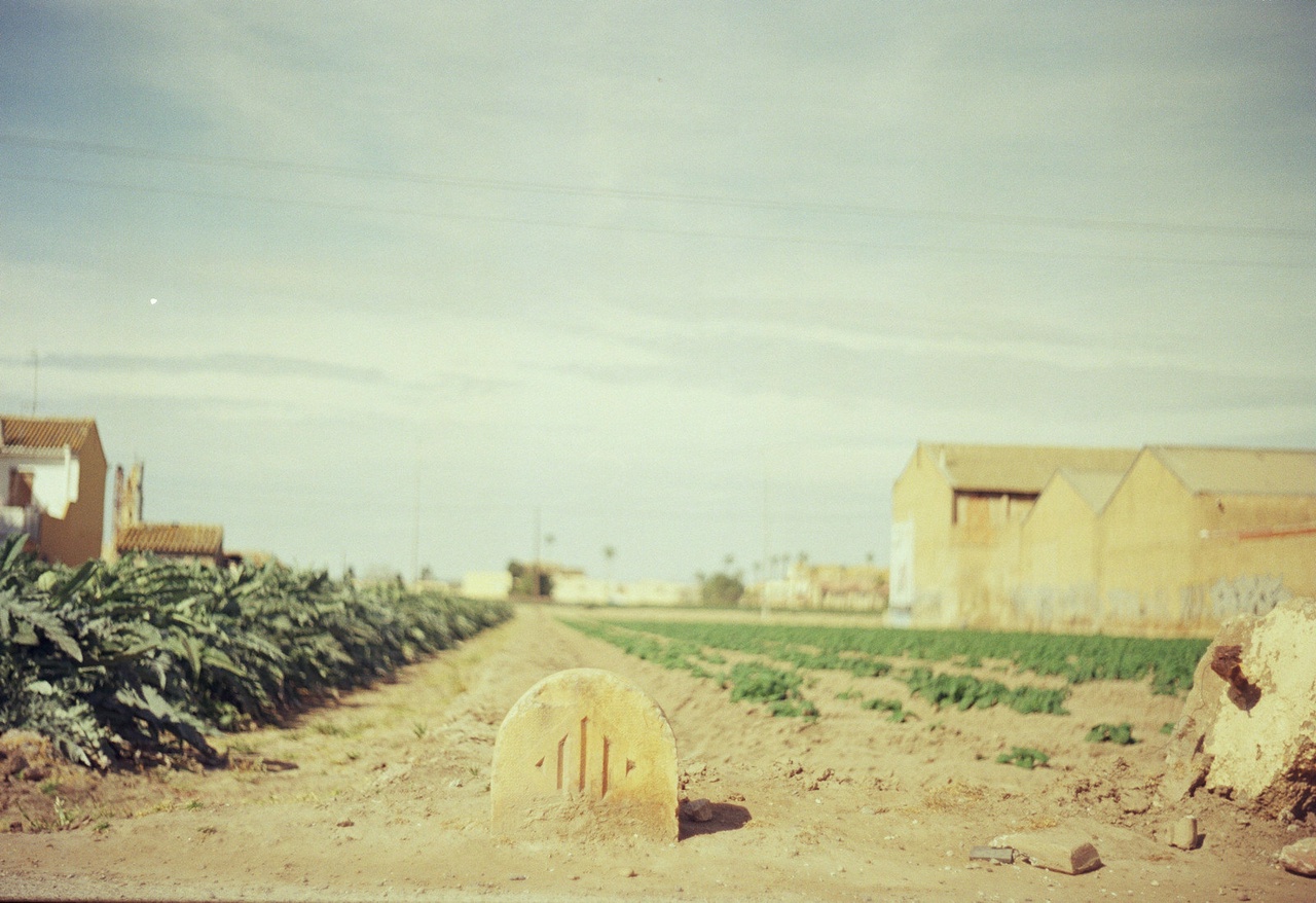 Una imatge de l'horta de València, on es veu en primer plànol una pedra amb l'escut de la ciutat i al fons algunes cases.